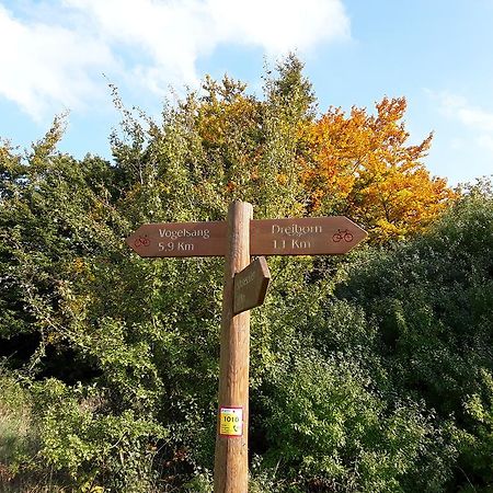 Apartament Poehl Am Nationalpark Eifel Schleiden Zewnętrze zdjęcie